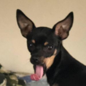 Meet your Posher, Kimberly